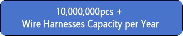 capacity