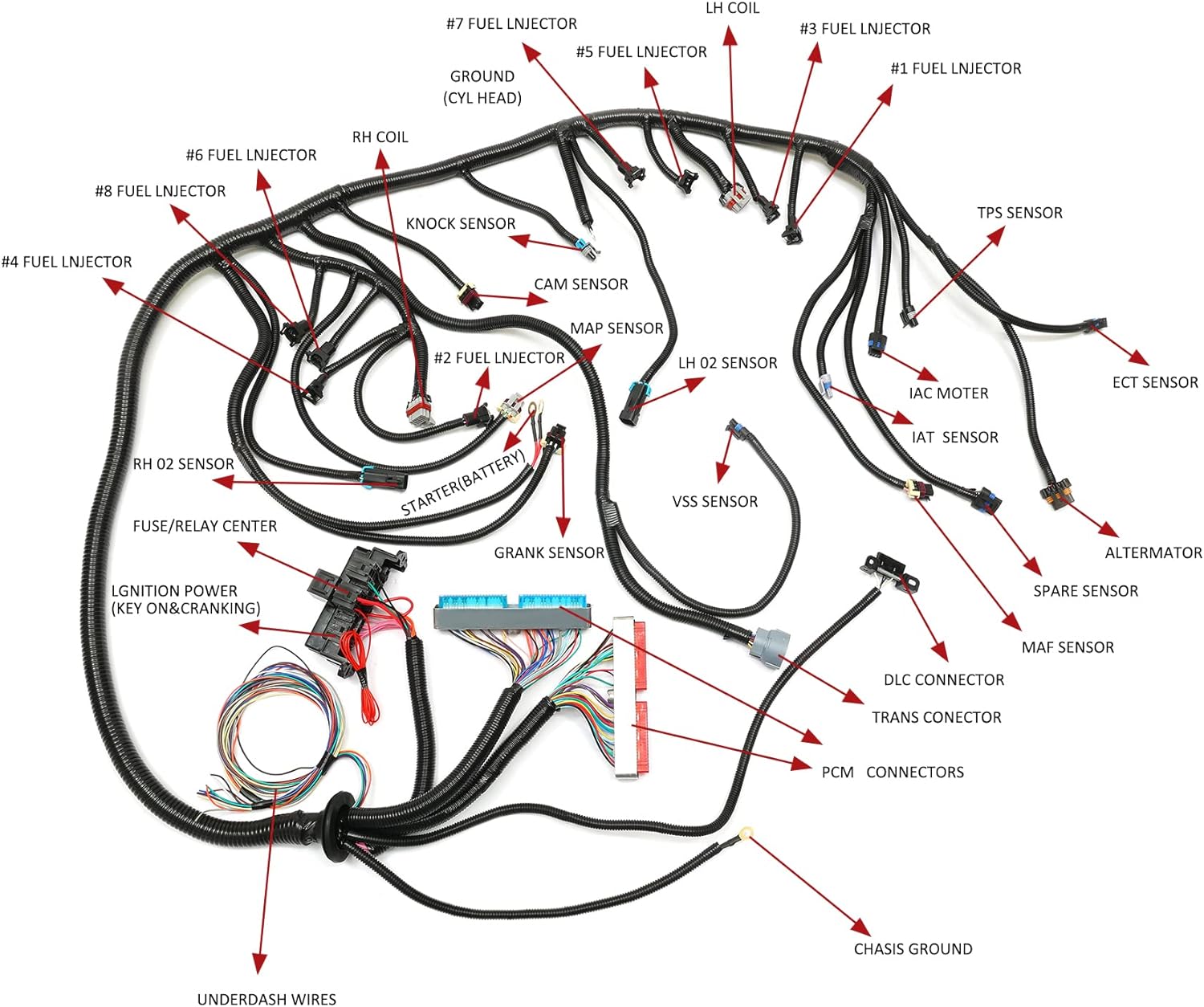 Standalone Wiring Harness