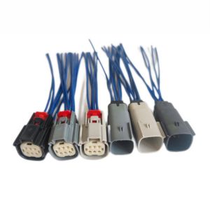 6 Way Molex Mx150 Connector Wiring Harness