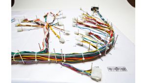 Automated Wire Processing