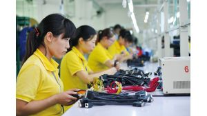 What are the precautions for wire harness processing?